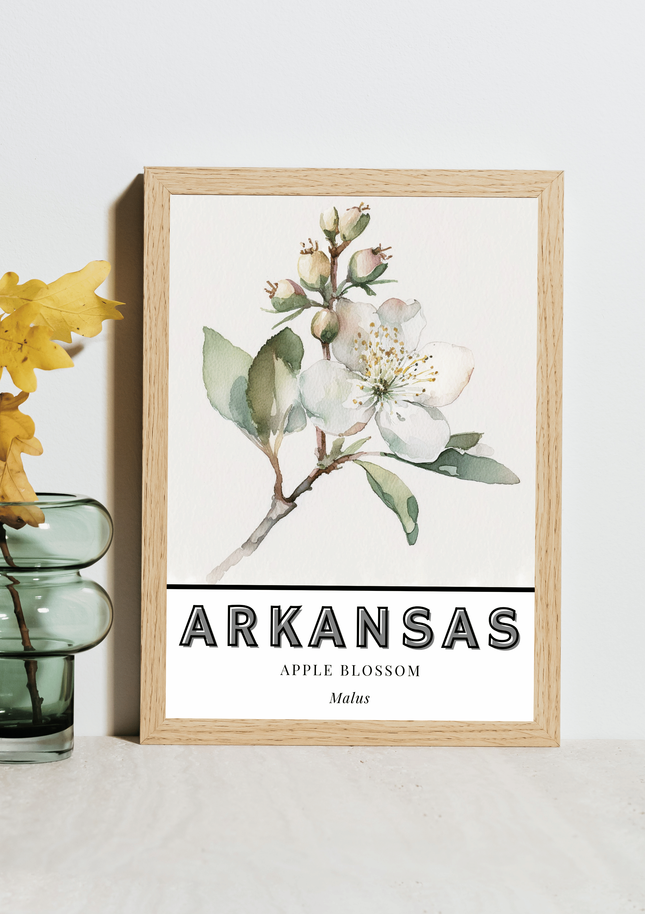 Arkansas State Flower Poster - Apple Blossom Botanical Print