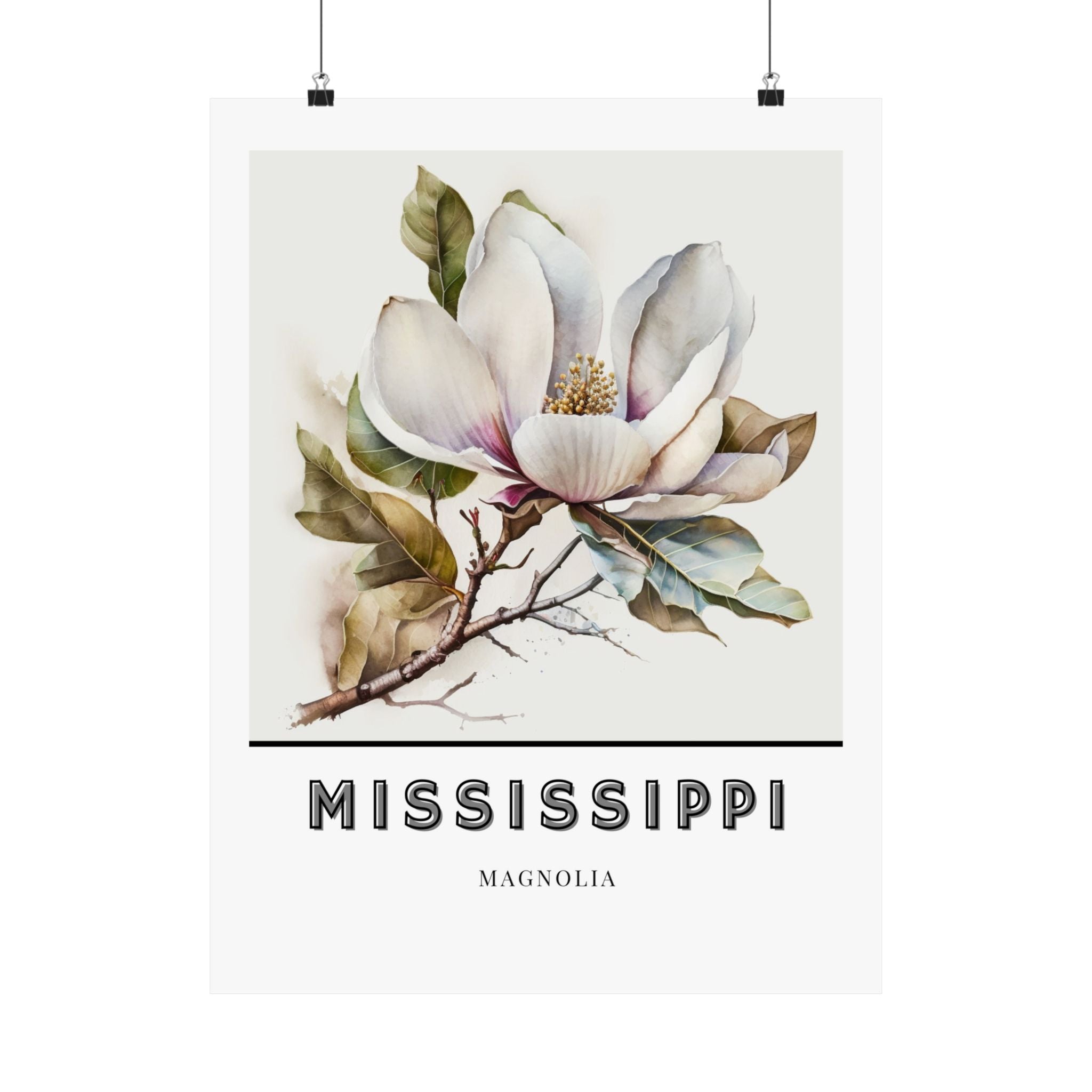 Mississippi State Flower Poster - Magnolia Print