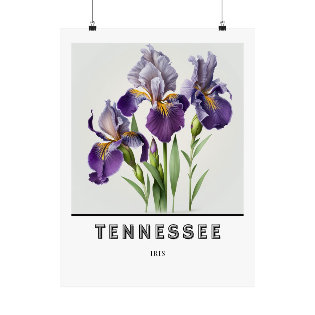 Tennessee State Flower Poster - Iris Watercolor Print