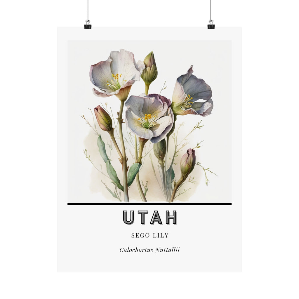 Utah State Flower Poster - Sego Lily Watercolor Print
