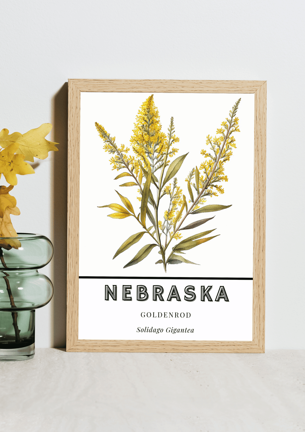 Nebraska State Flower Poster - Goldenrod Watercolor Print