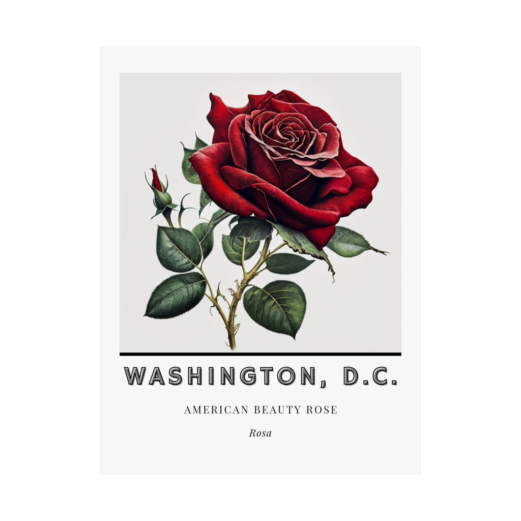 Washington DC Flower Poster - American Beauty Rose Print