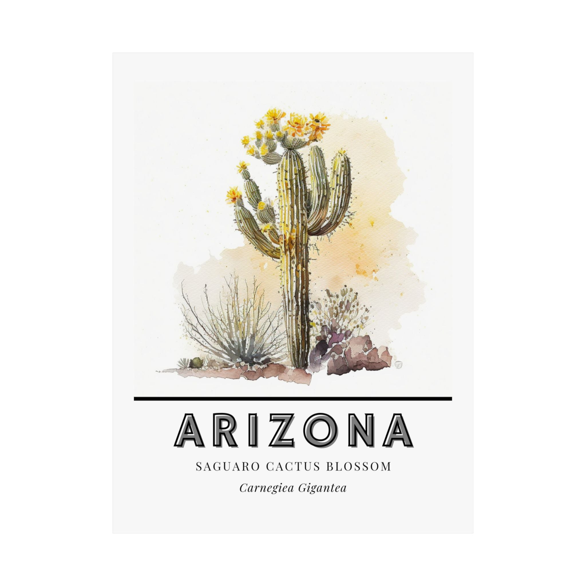 Arizona State Flower Poster - Saguaro Cactus Blossom Print