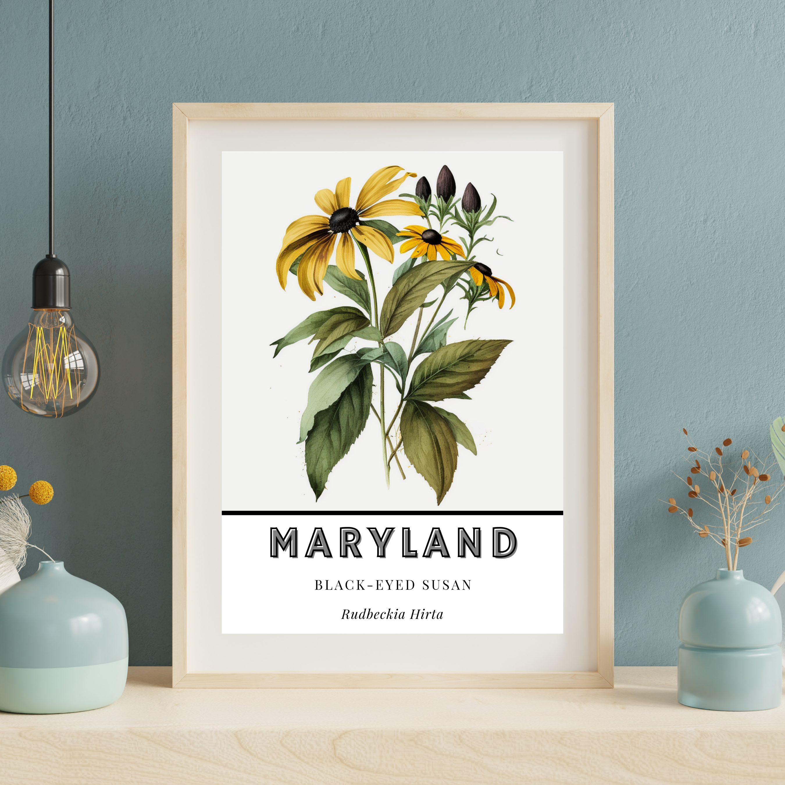 Maryland State Flower Poster - Black-Eyed Susan Print