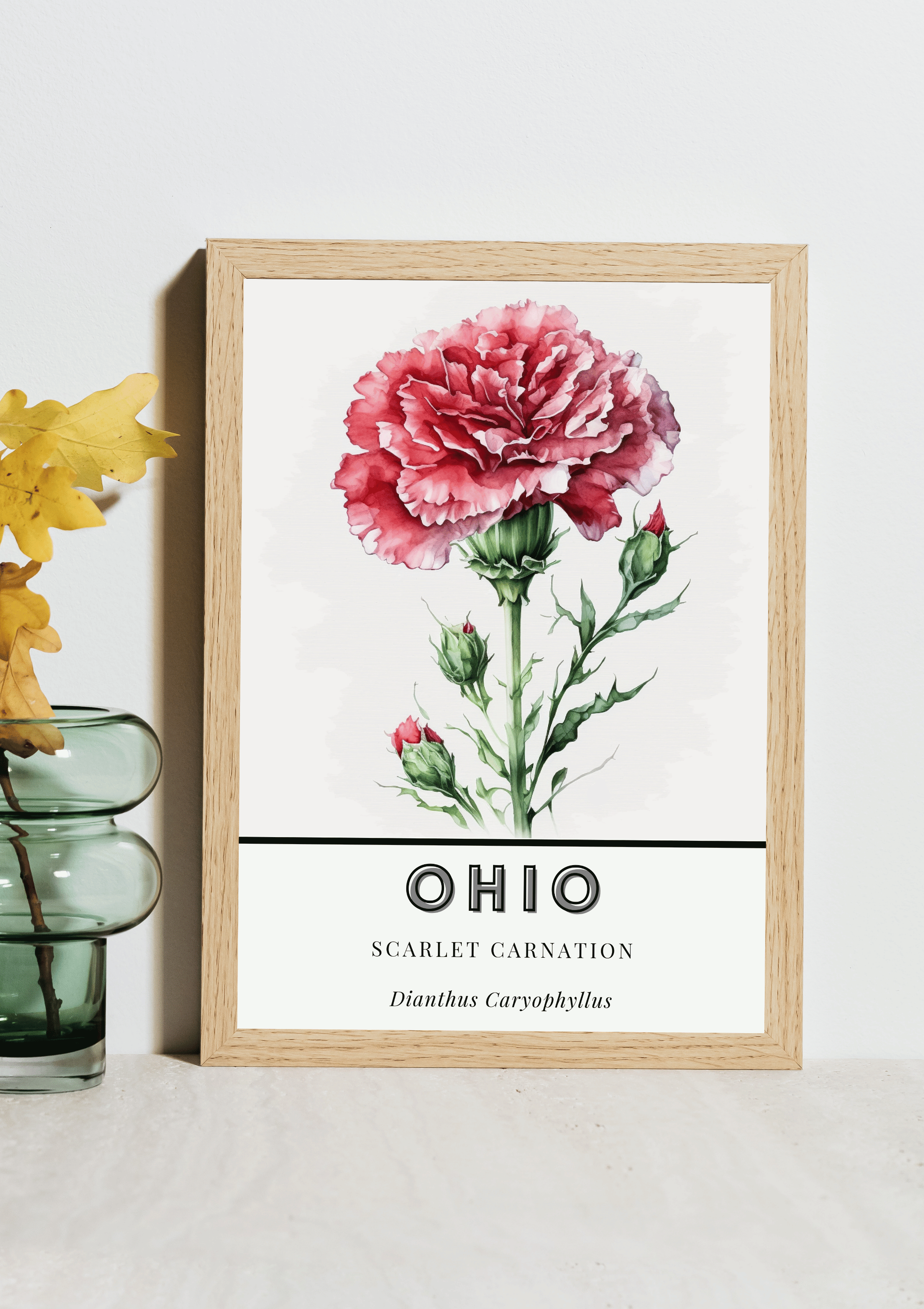 Ohio State Flower Poster - Scarlet Carnation Print