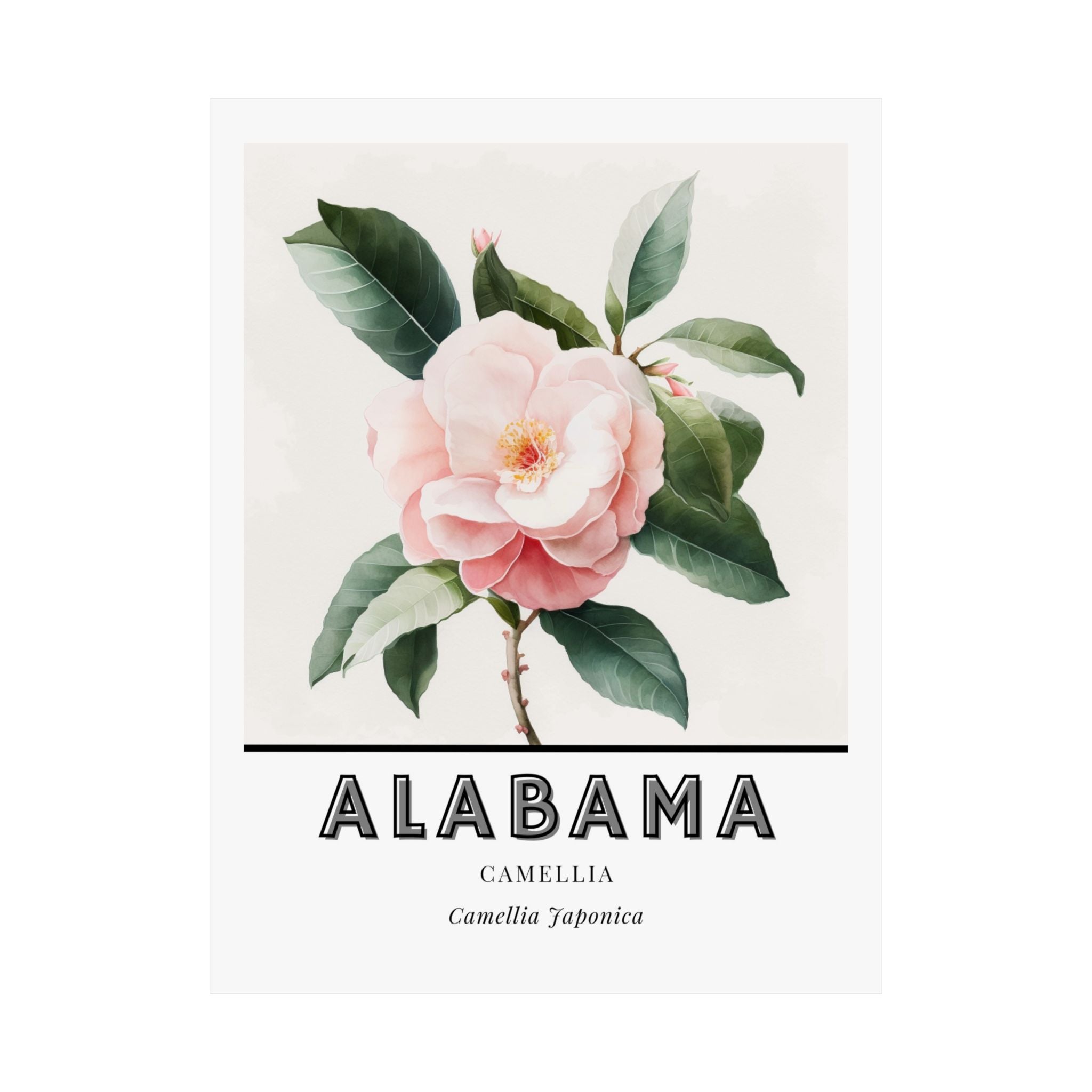 Alabama State Flower Poster - Camellia Watercolor Print