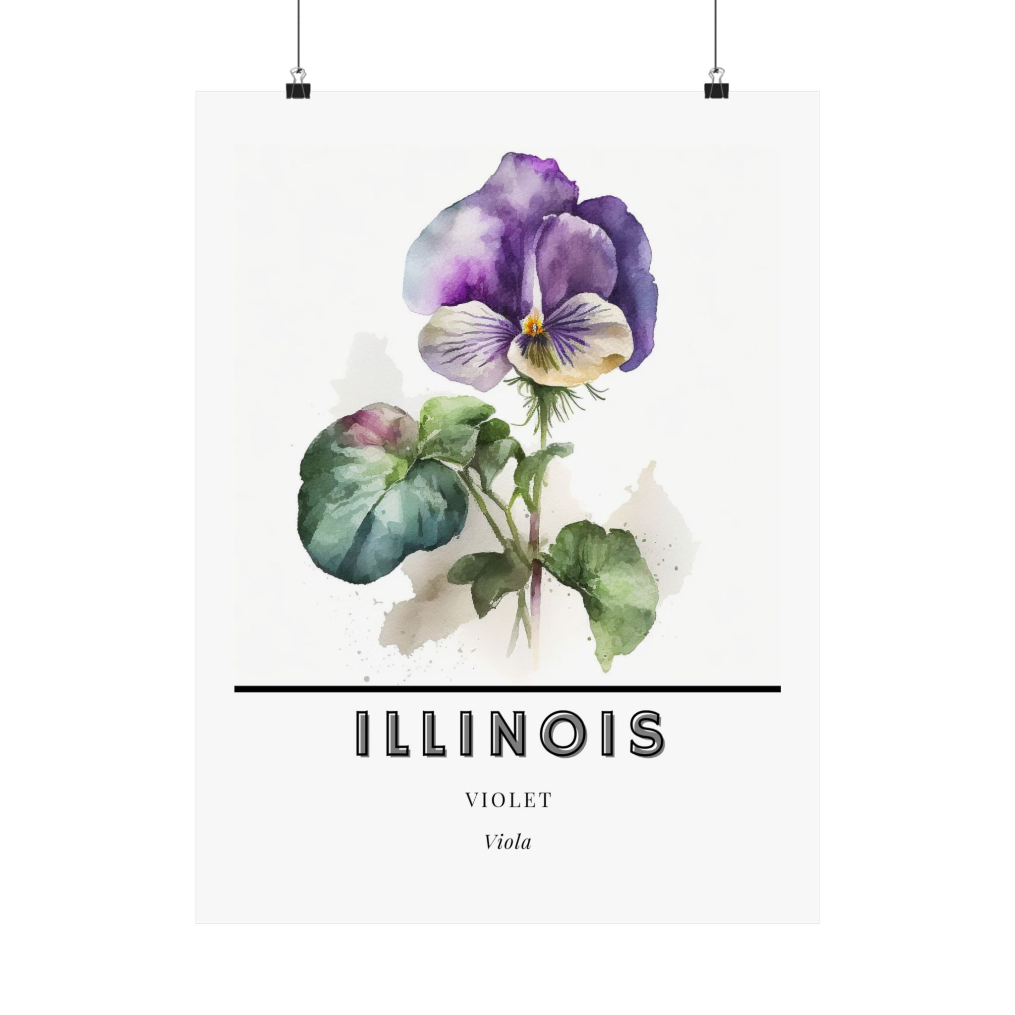 Illinois State Flower Poster - Violet Watercolor Print