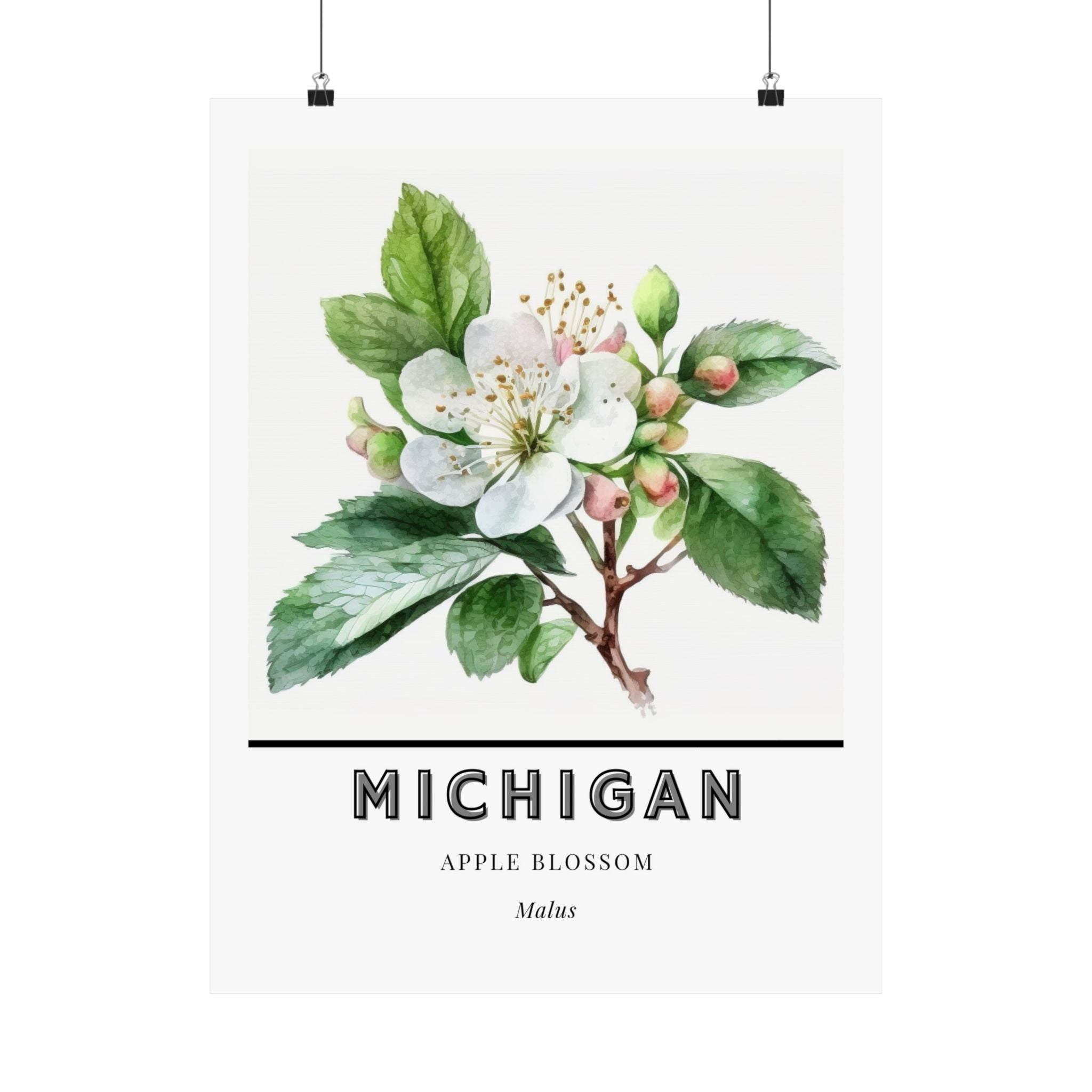 Michigan State Flower Poster - Apple Blossom Print