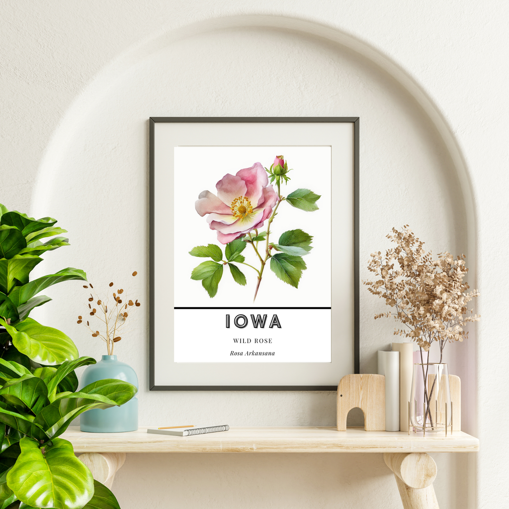 Iowa State Flower Poster - Wild Prairie Rose Print