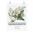 Massachusetts State Flower Poster - Mayflower Print