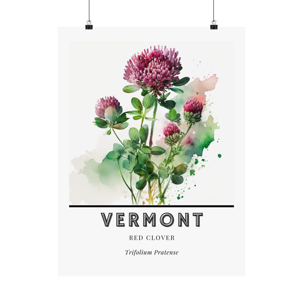 Vermont State Flower Poster - Red Clover Botanical Print