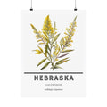 Nebraska State Flower Poster - Goldenrod Watercolor Print