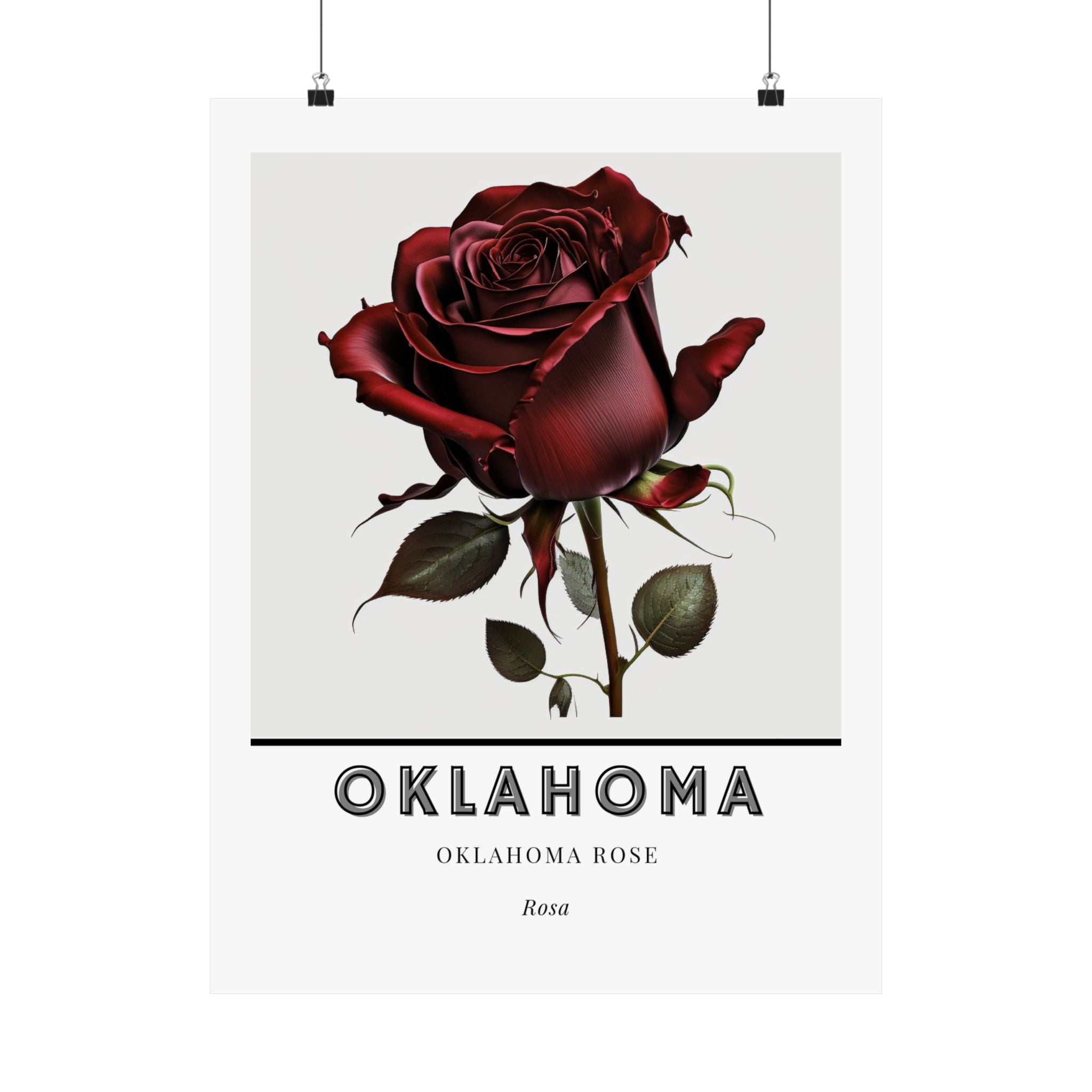 Oklahoma State Flower Poster - Mistletoe Botanical Print