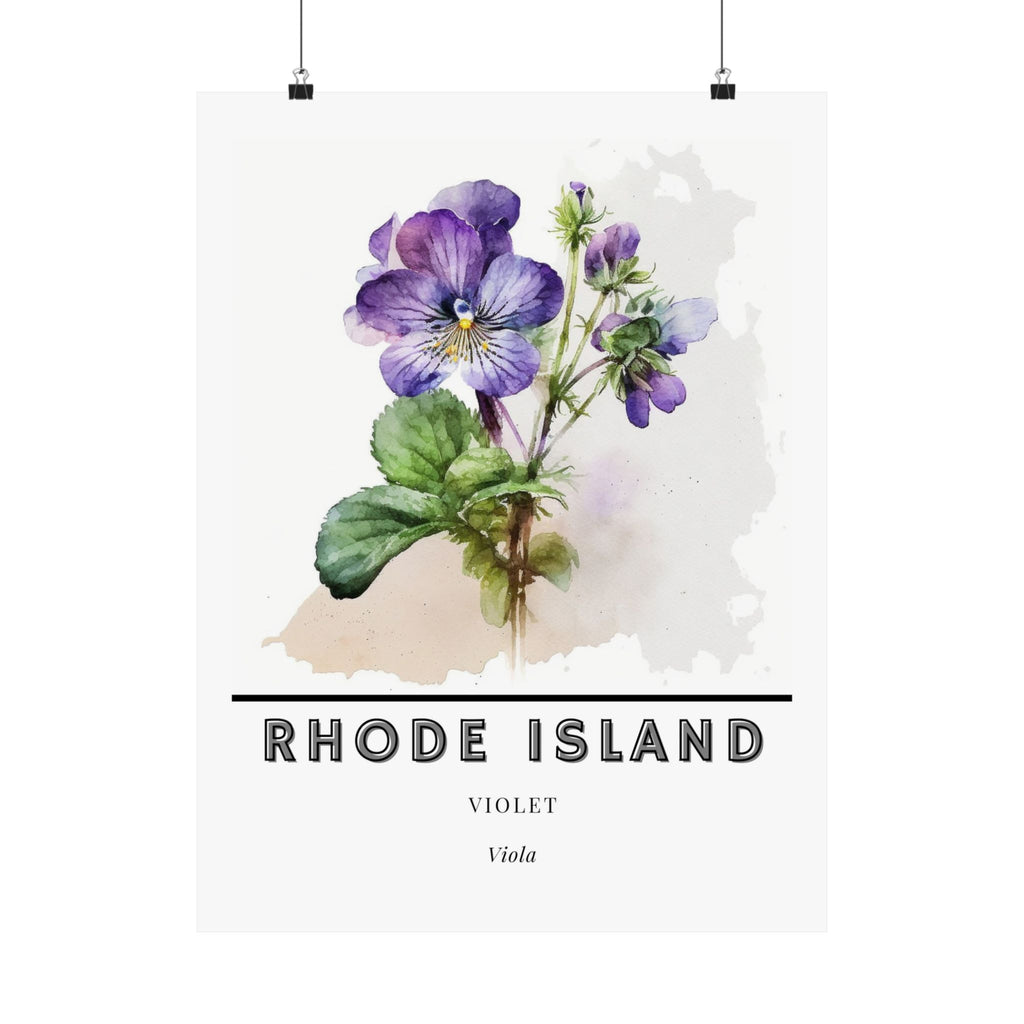 Rhode Island State Flower Poster - Violet Print