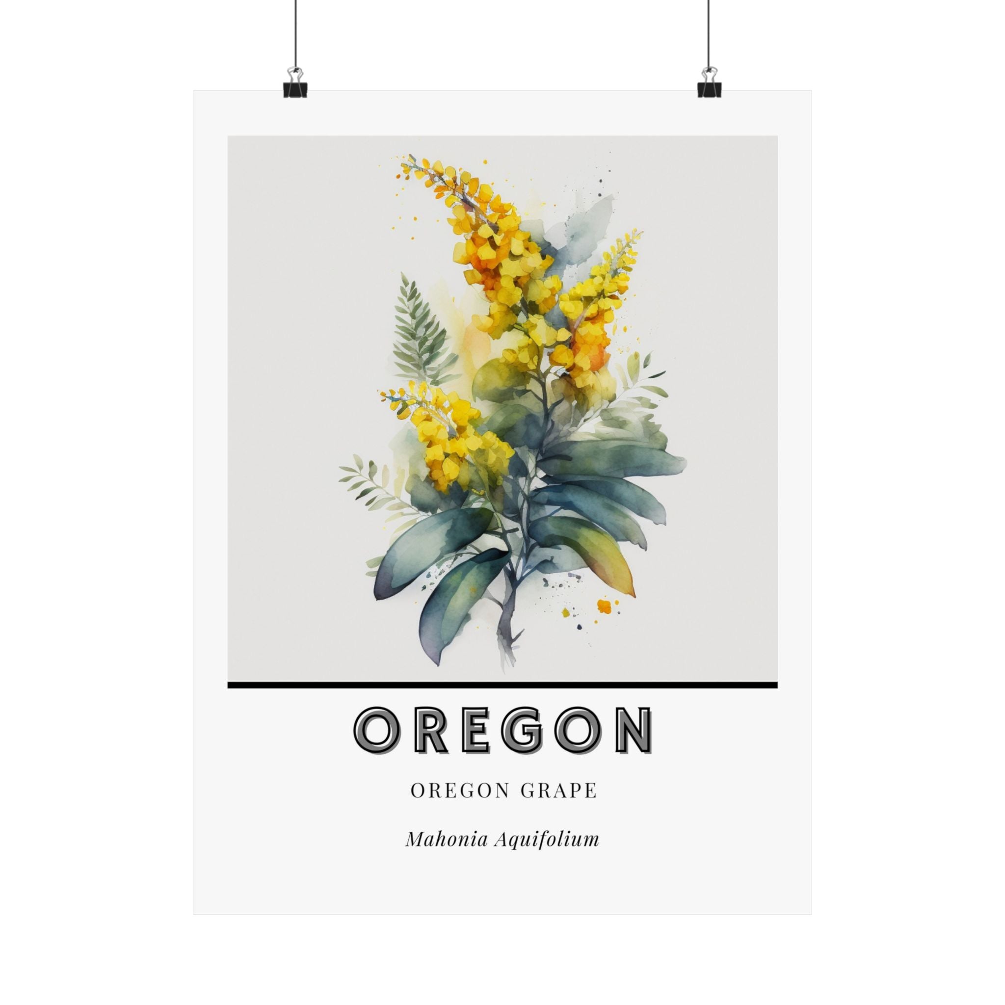 Oregon State Flower Poster - Oregon Grape Watercolor Print
