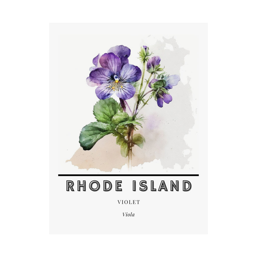 Rhode Island State Flower Poster - Violet Print