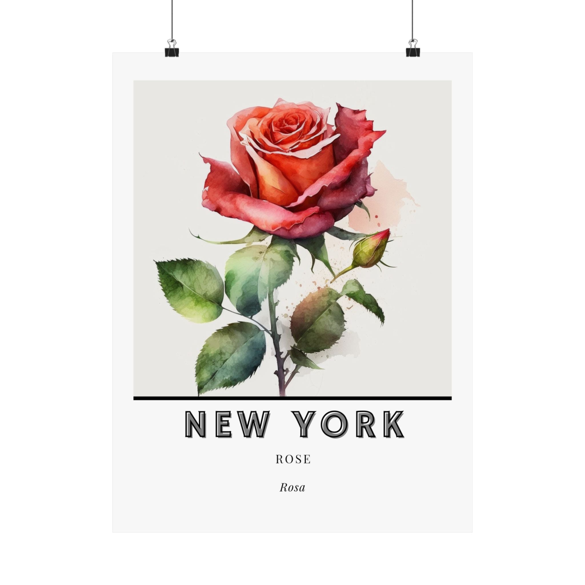 New York State Flower Poster - Rose Watercolor Print