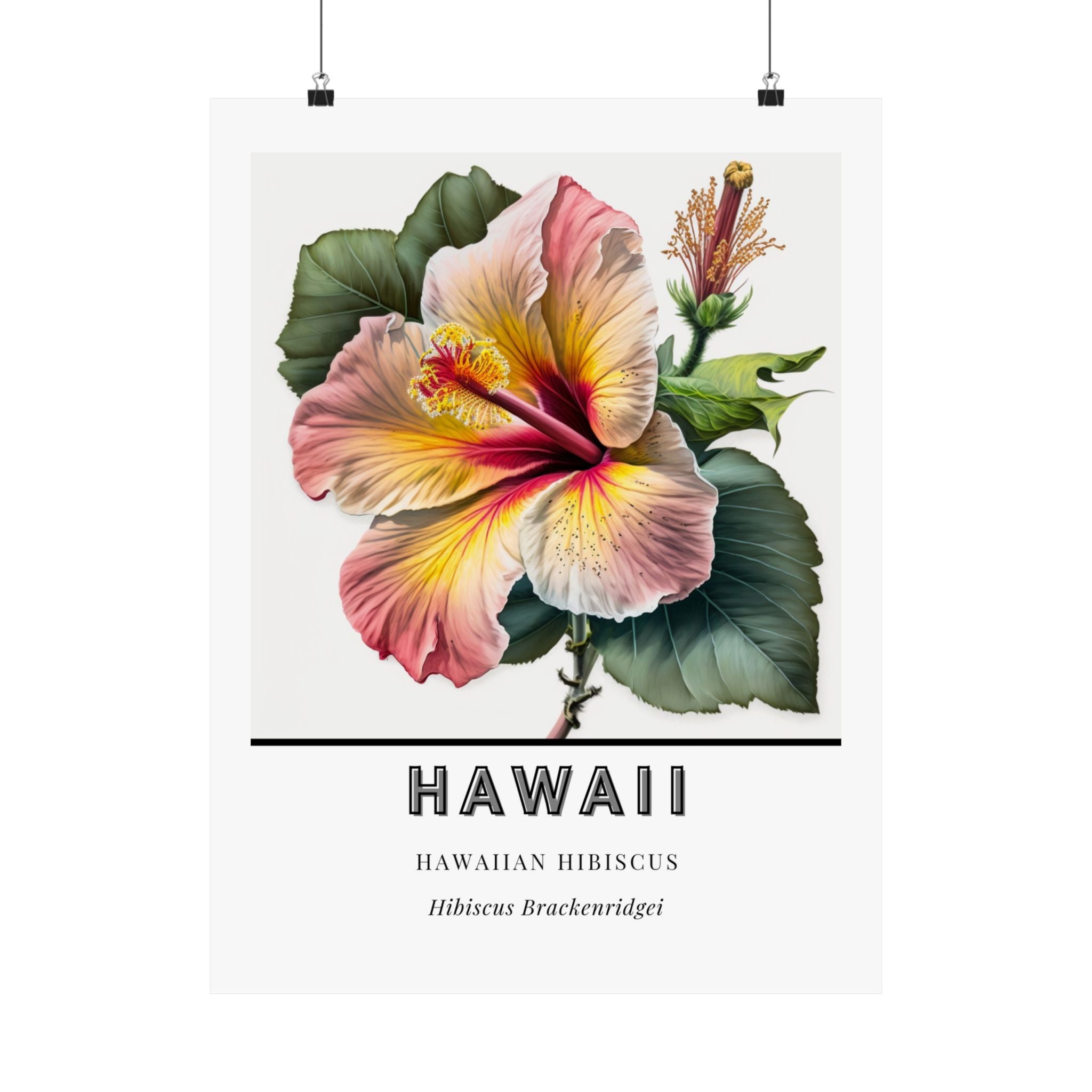 Hawaii State Flower Poster - Hibiscus Watercolor Print