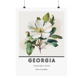 Georgia State Flower Poster - Cherokee Rose Botanical Print