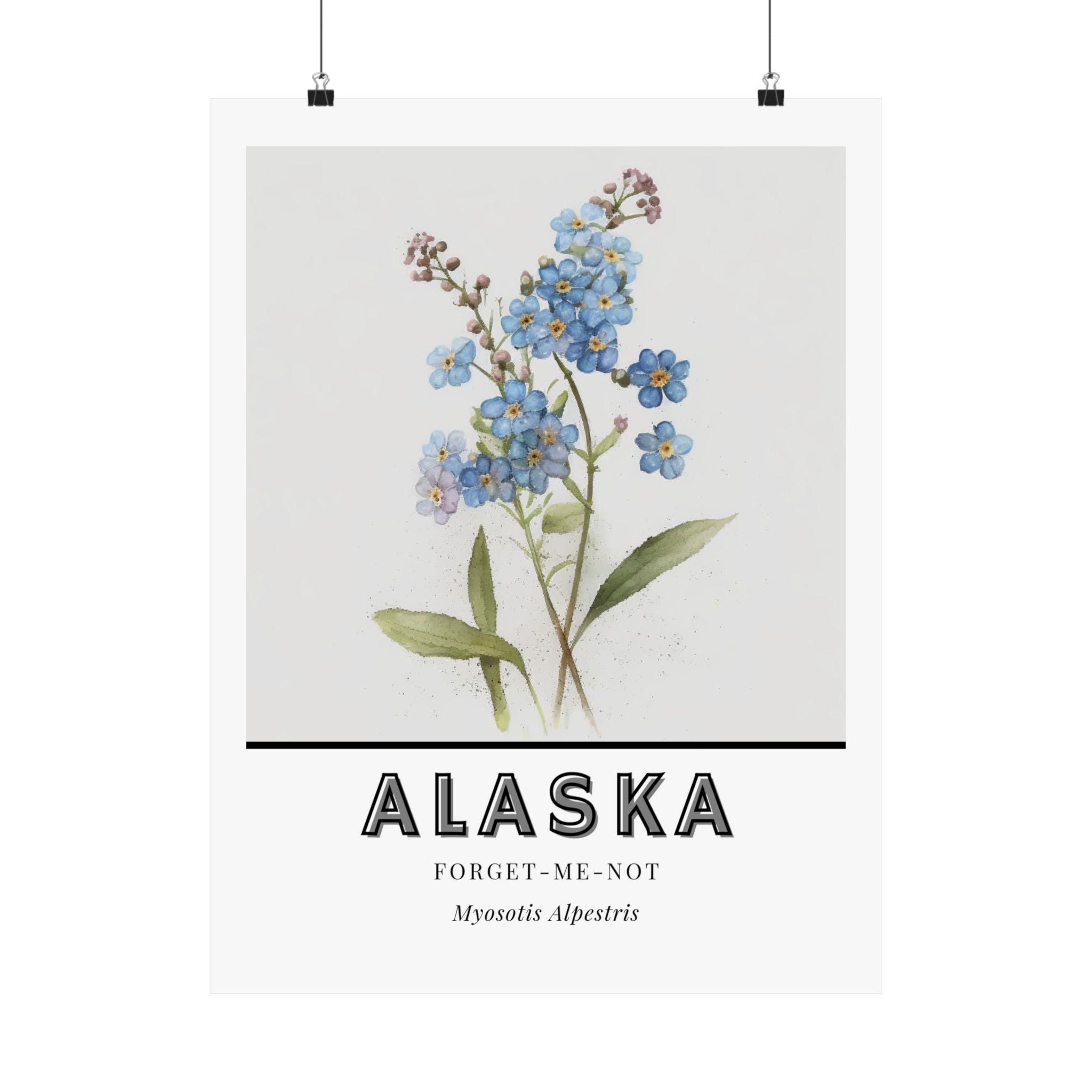 Alaska State Flower Poster - Forget-Me-Not Botanical Print