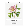 Iowa State Flower Poster - Wild Prairie Rose Print