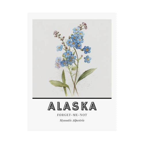 Alaska State Flower Poster - Forget-Me-Not Botanical Print