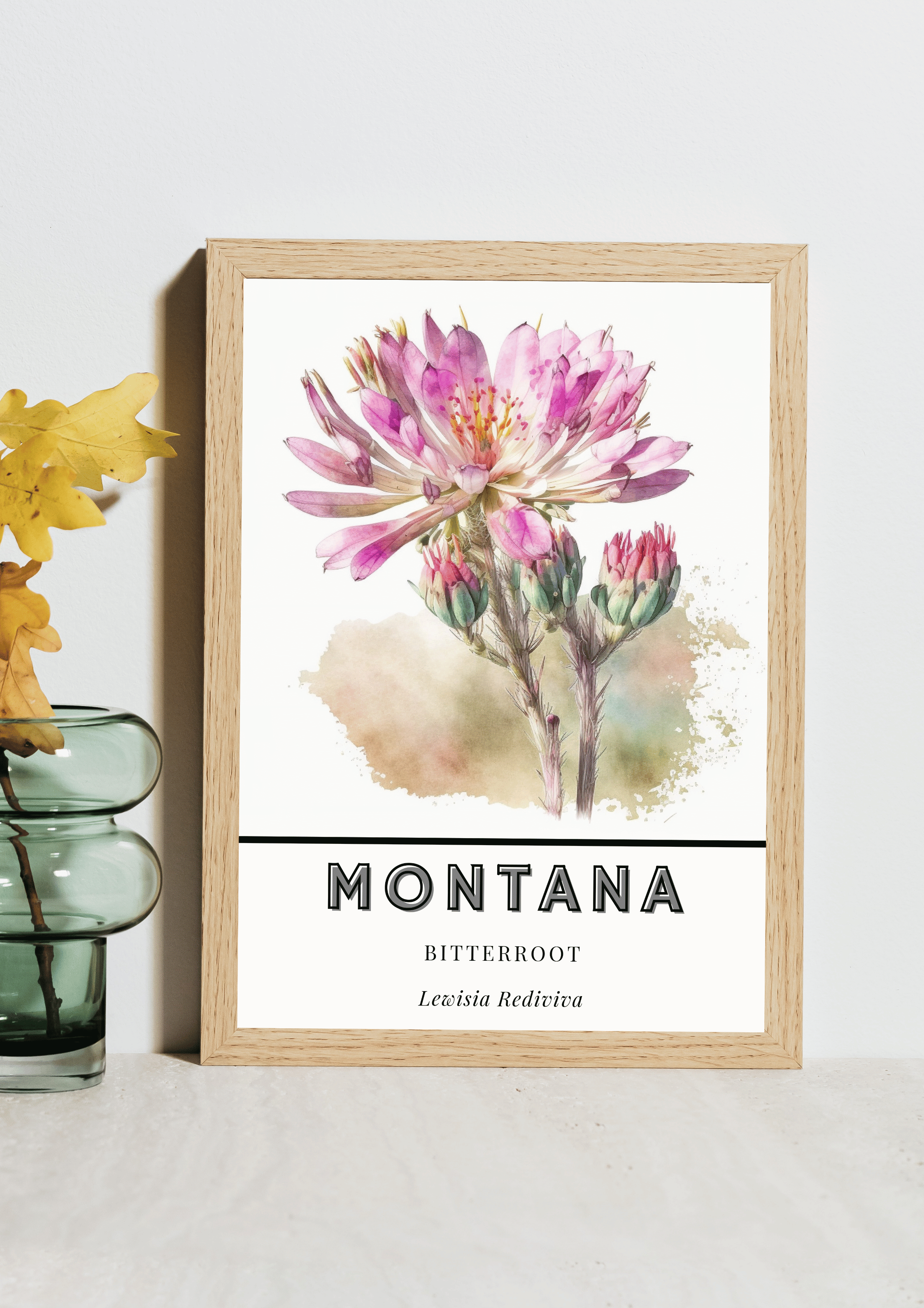 Montana State Flower Poster - Bitterroot Botanical Print
