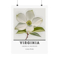 Virginia State Flower Poster - Dogwood Watercolor Print