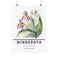 Minnesota State Flower Poster - Lady's Slipper Print