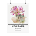 Montana State Flower Poster - Bitterroot Botanical Print