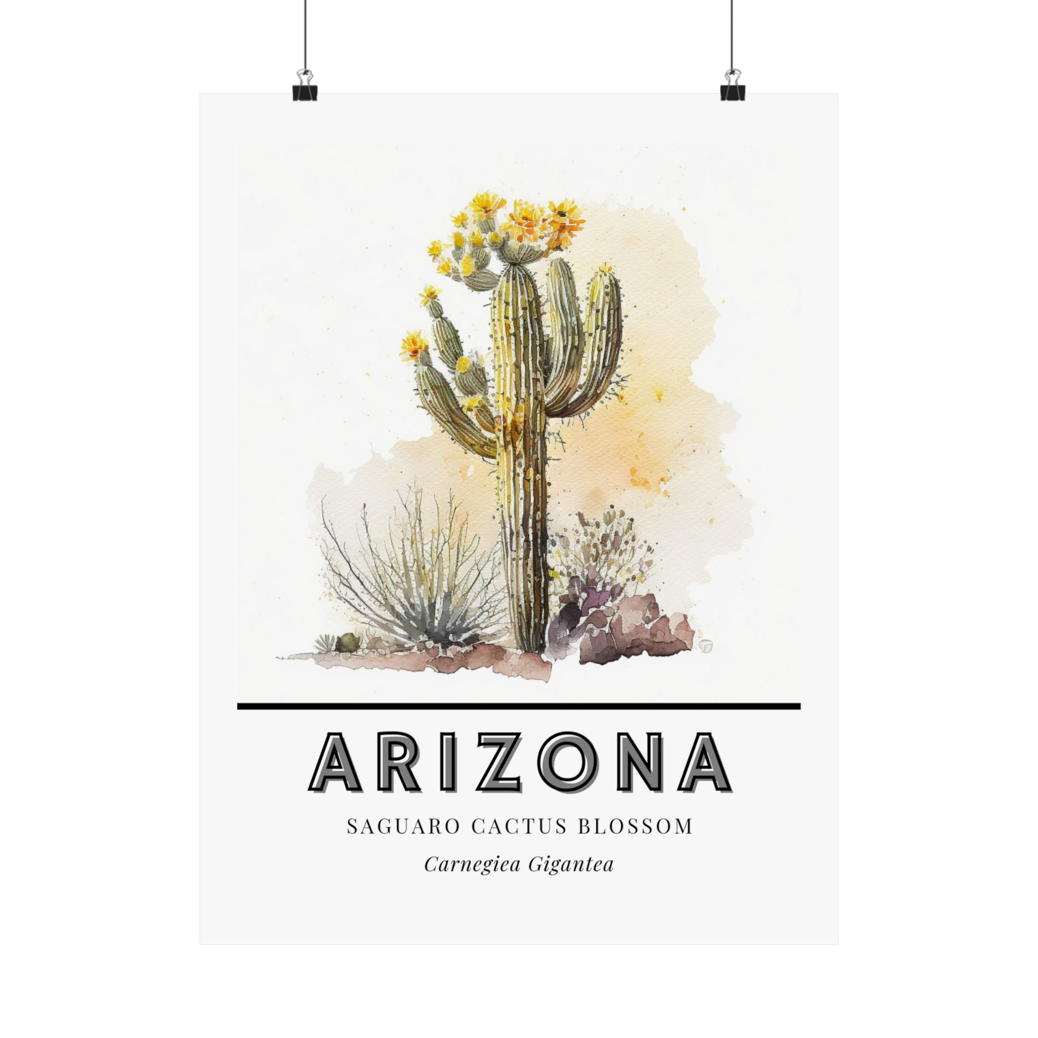 Arizona State Flower Poster - Saguaro Cactus Blossom Print