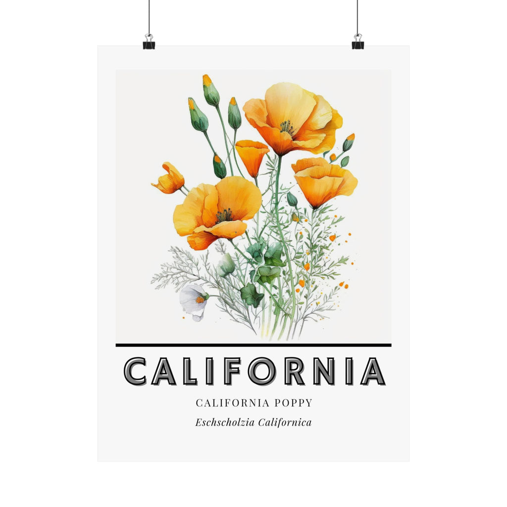 California State Flower Poster - California Poppy Print