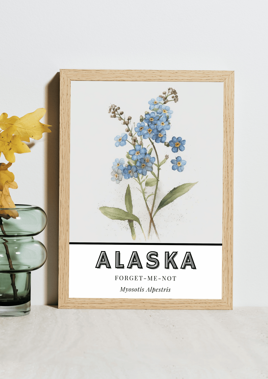 Alaska State Flower Poster - Forget-Me-Not Botanical Print