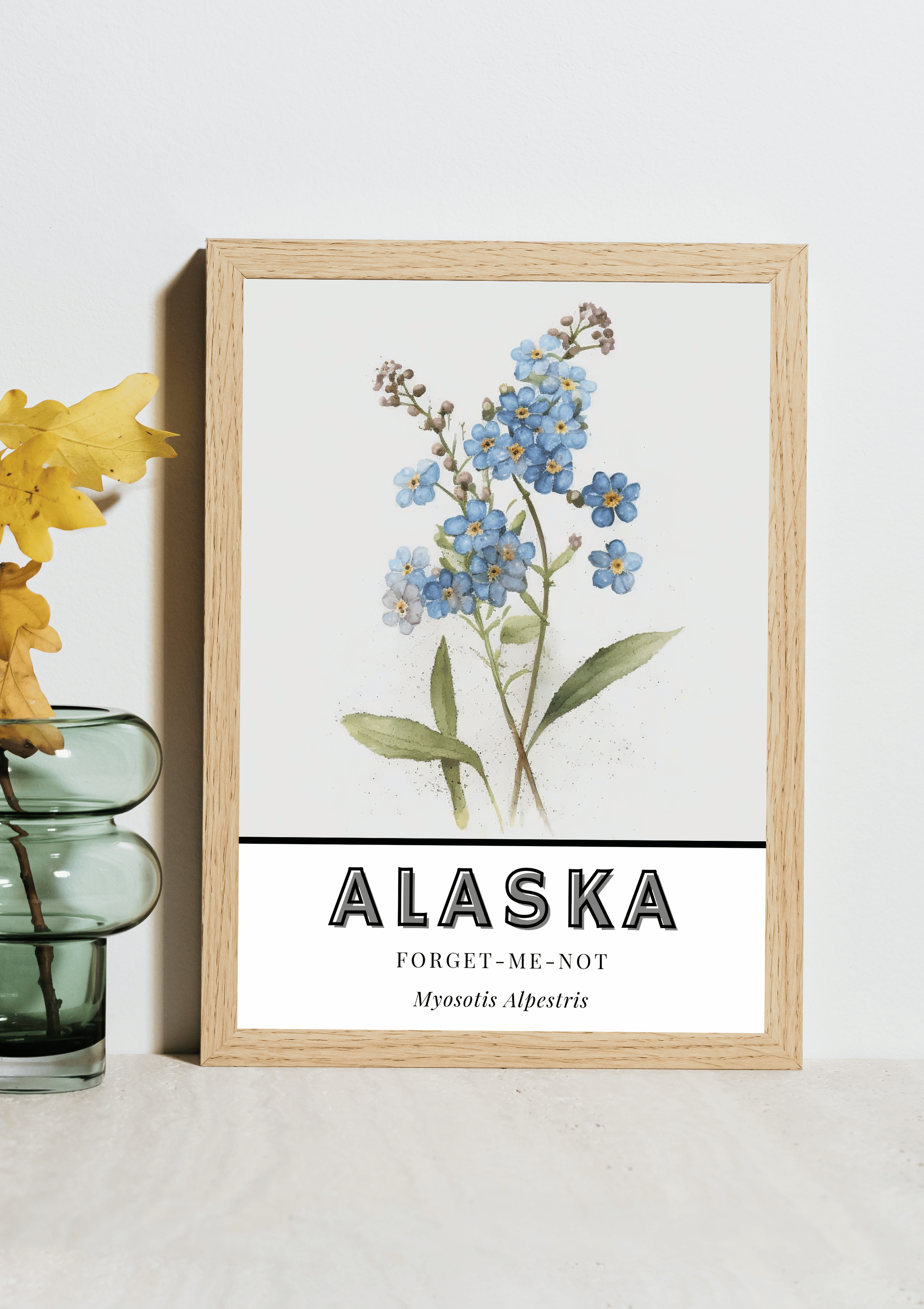 Alaska State Flower Poster - Forget-Me-Not Botanical Print