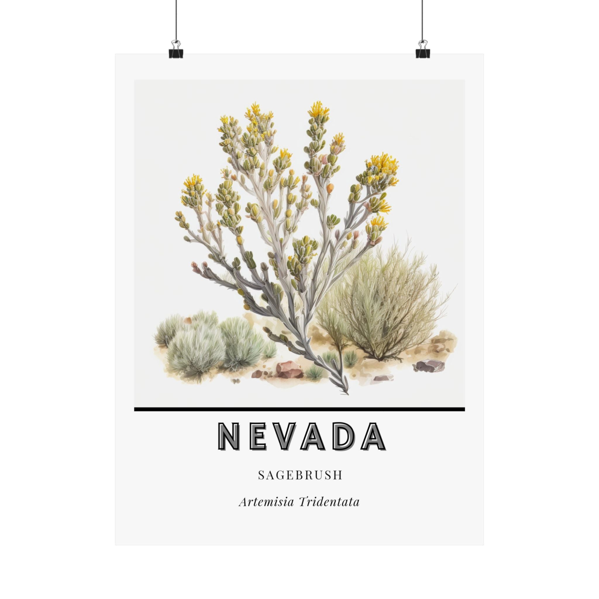 Nevada State Flower Poster - Sagebrush Botanical Print