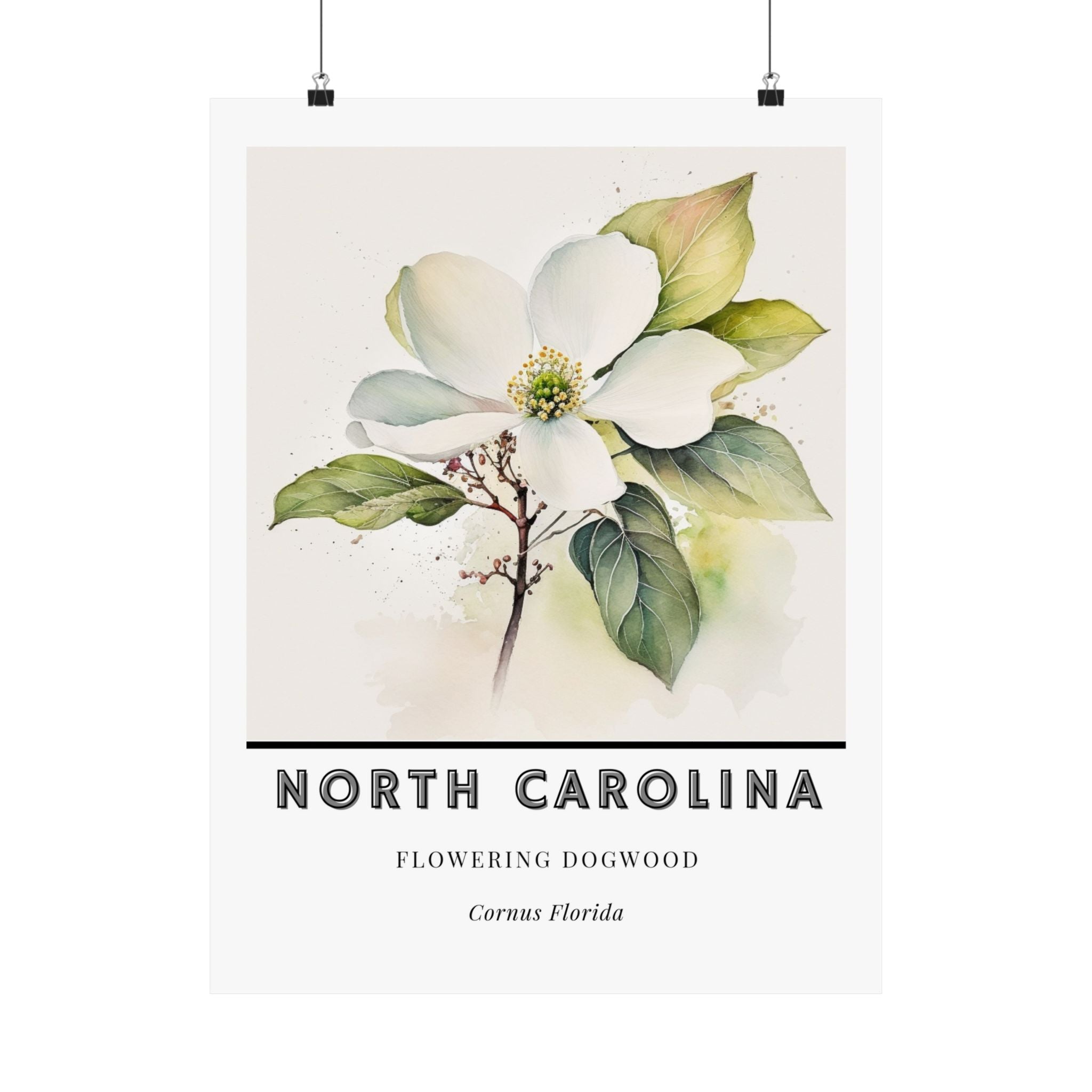 North Carolina State Flower Poster - Dogwood Print