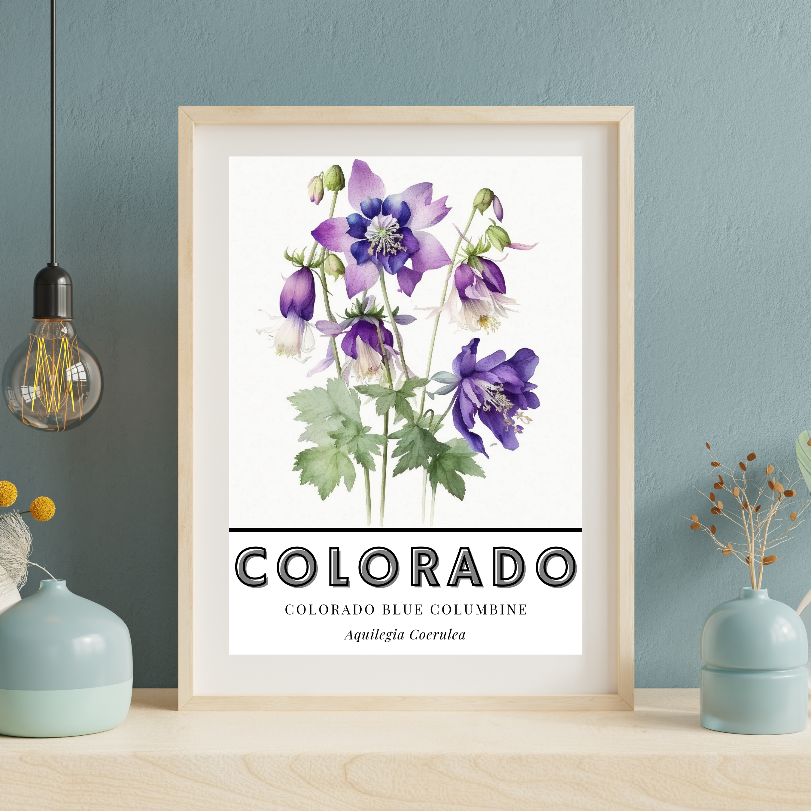 Colorado State Flower Poster - Columbine Watercolor Print