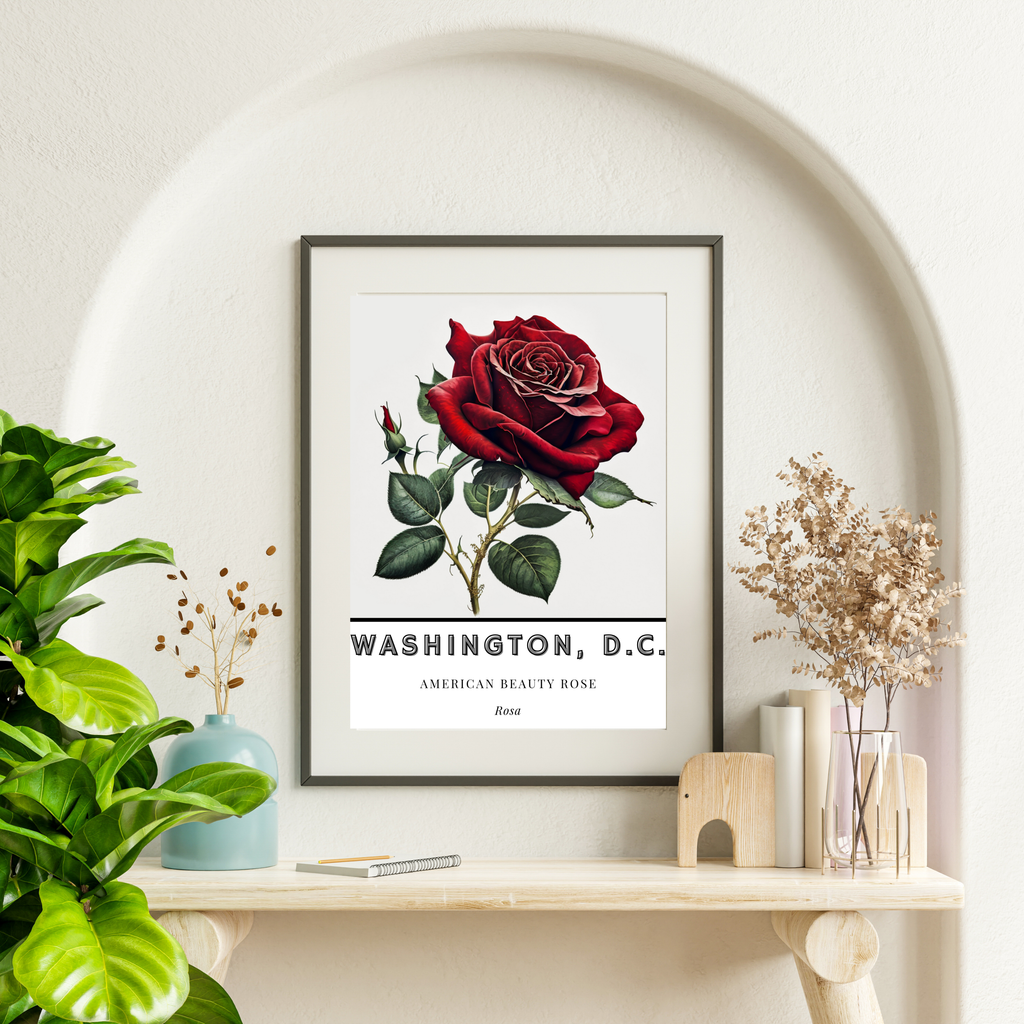 Washington DC Flower Poster - American Beauty Rose Print