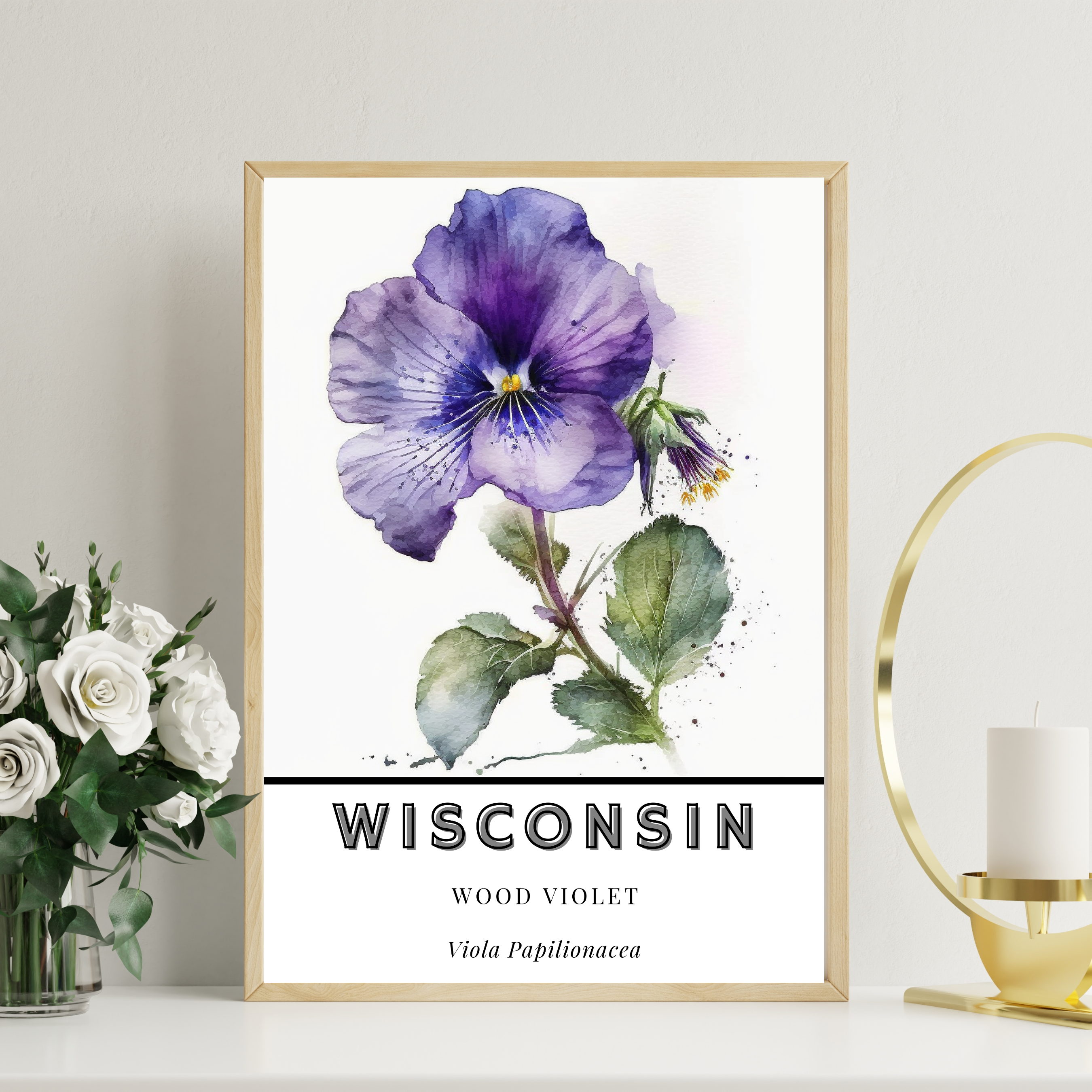 Wisconsin State Flower Poster - Wood Violet Print