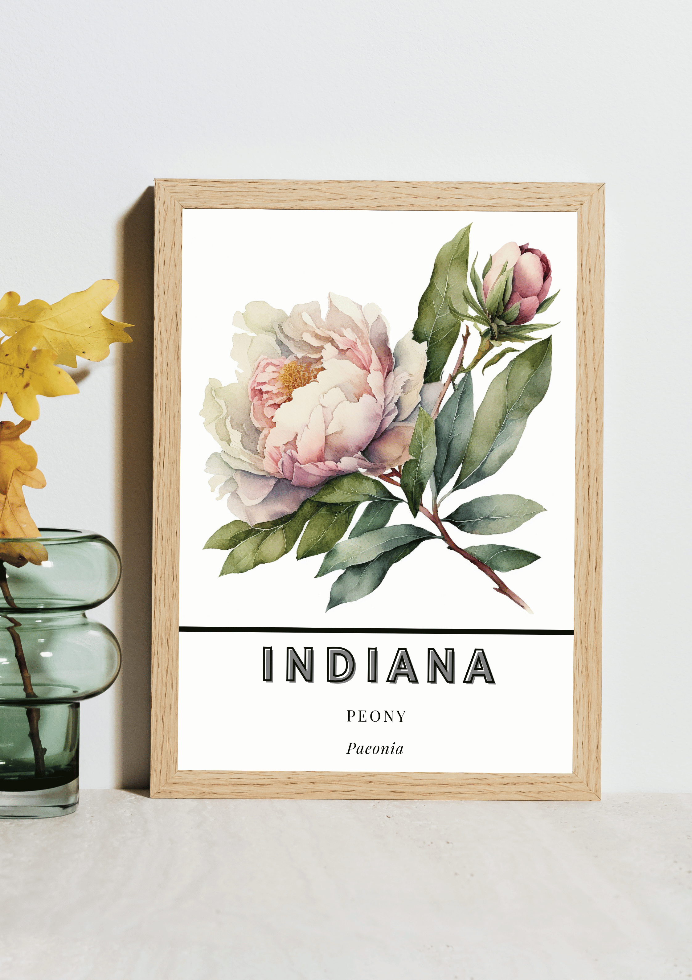 Indiana State Flower Poster - Peony Botanical Print