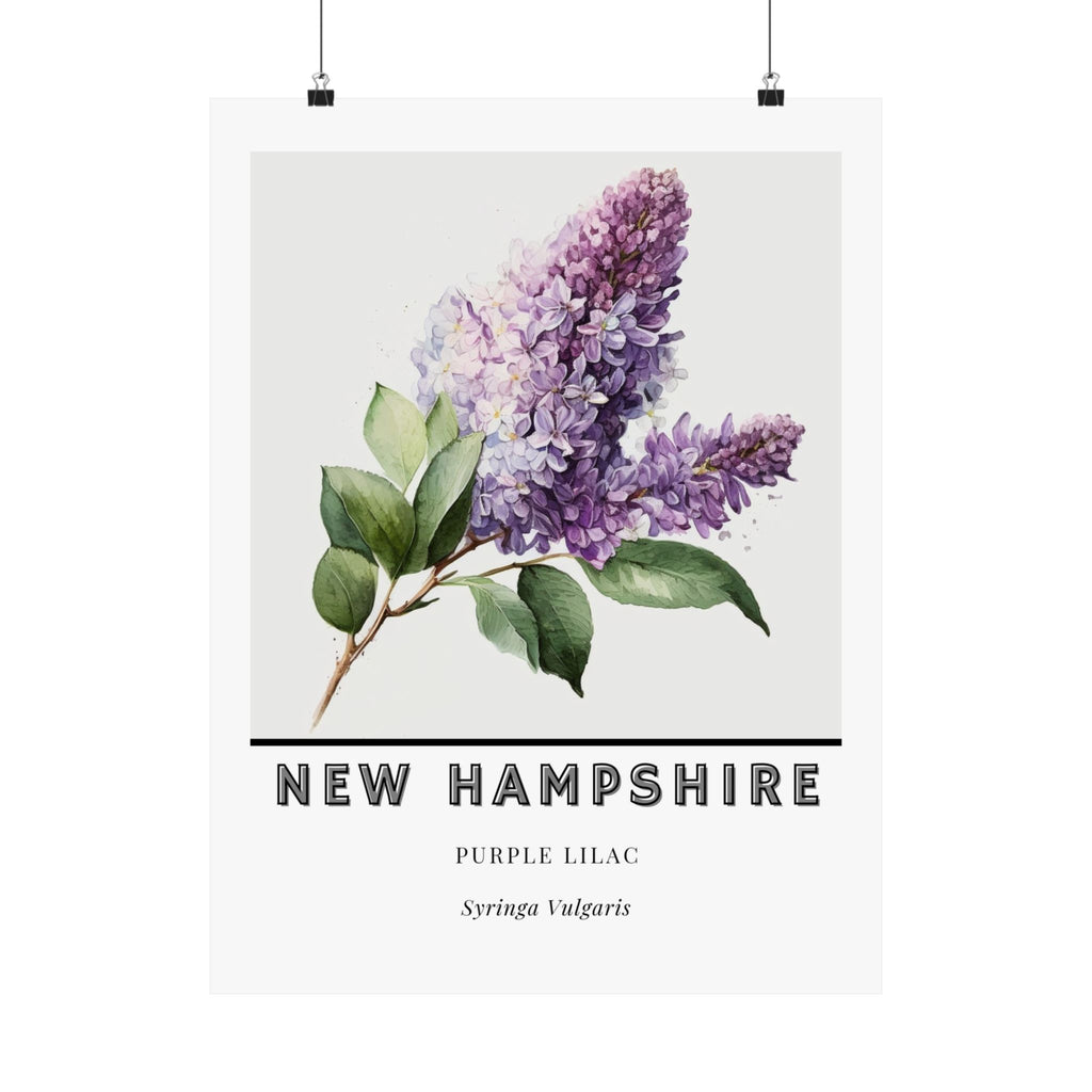 New Hampshire State Flower Poster - Purple Lilac Print
