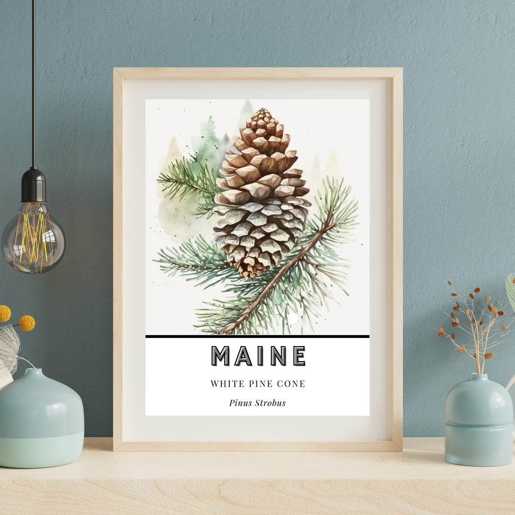 Maine State Flower Poster - White Pine Cone Tassel Print
