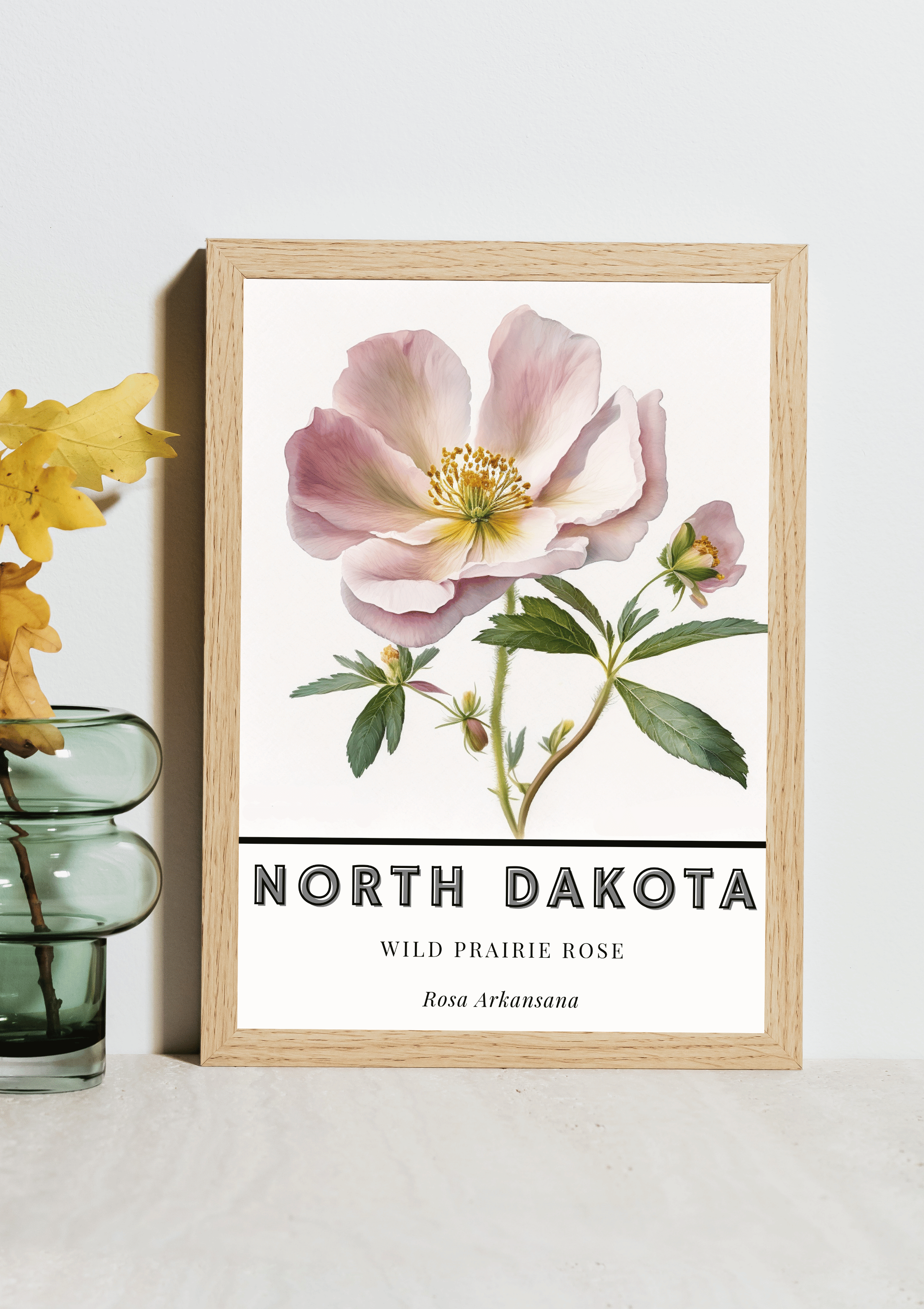 North Dakota State Flower Poster - Wild Prairie Rose Print