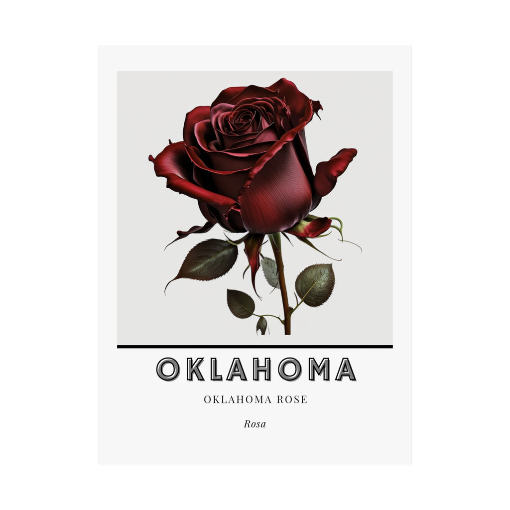 Oklahoma State Flower Poster - Mistletoe Botanical Print