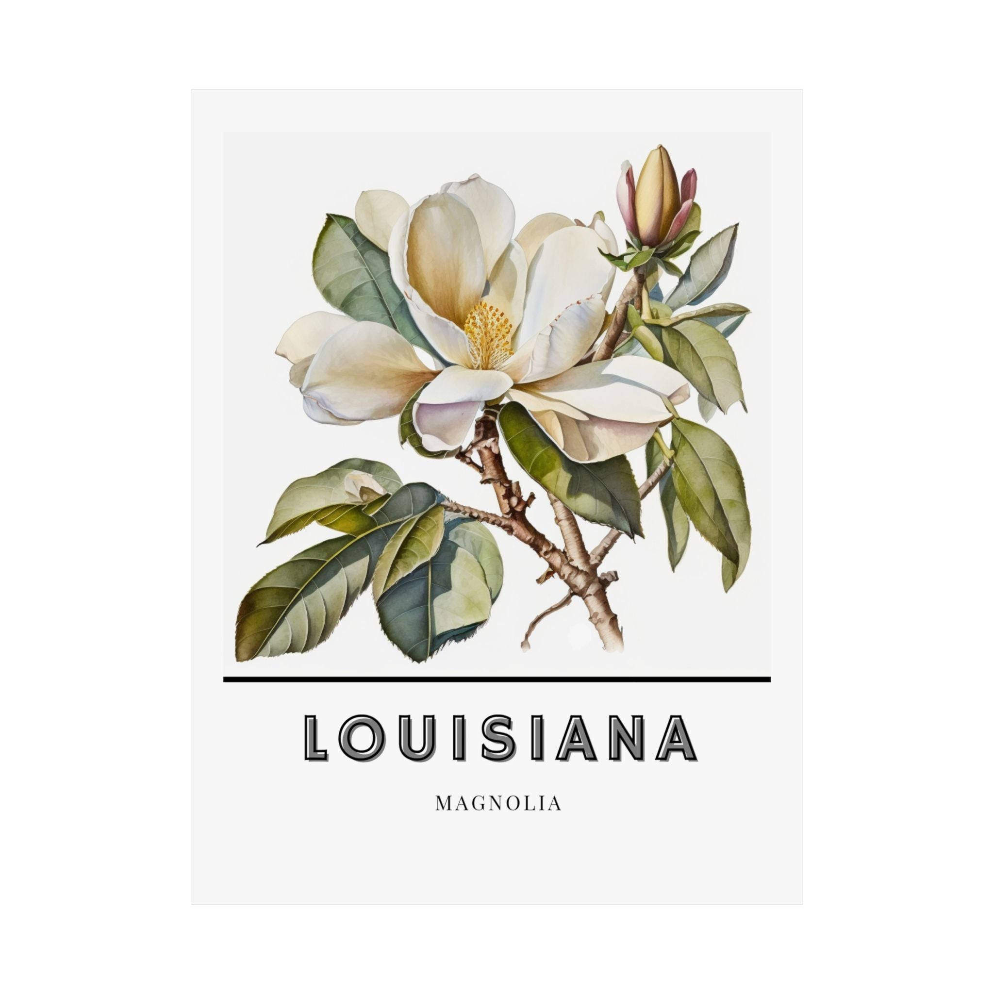 Louisiana State Flower Poster - Magnolia Watercolor Print