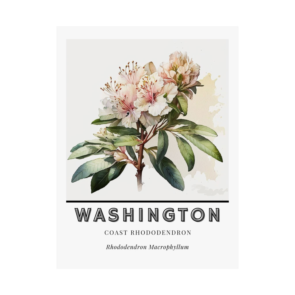 Washington State Flower Poster - Rhododendron Print