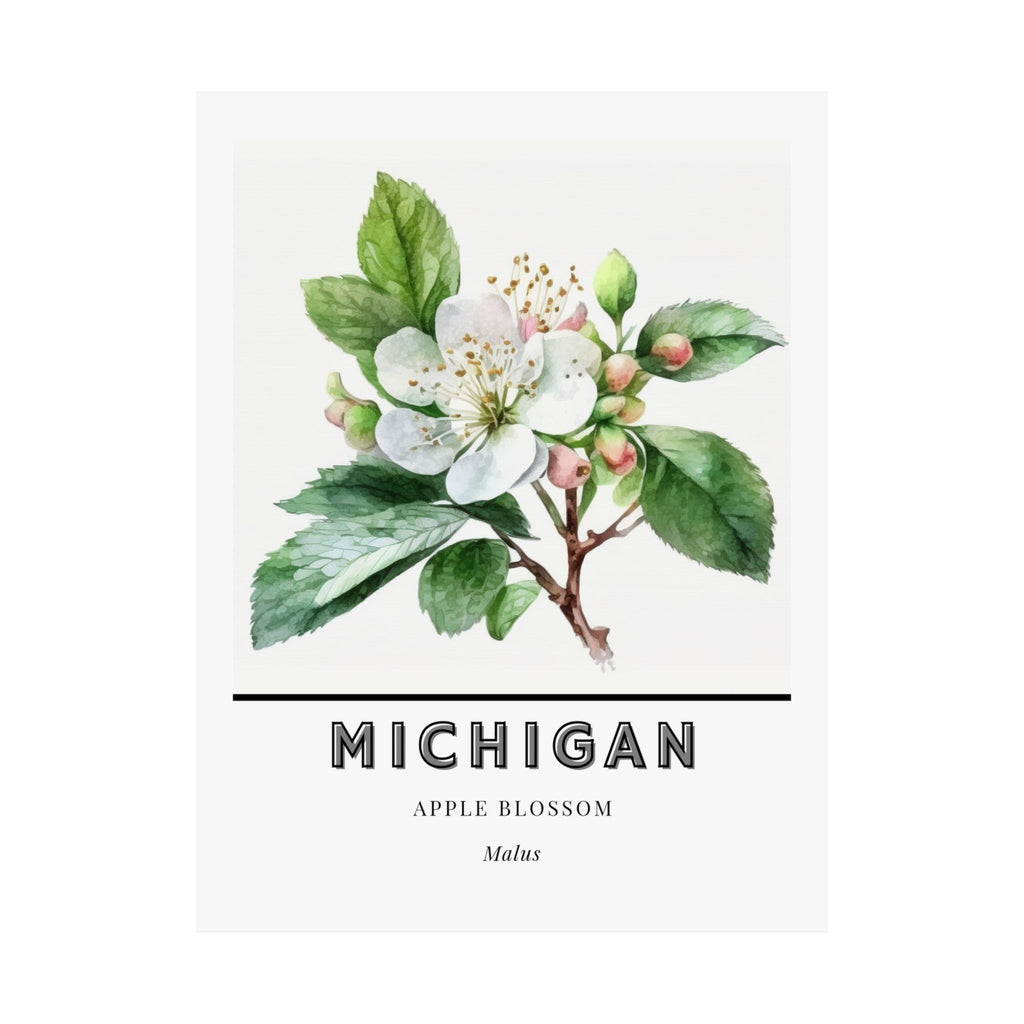 Michigan State Flower Poster - Apple Blossom Print