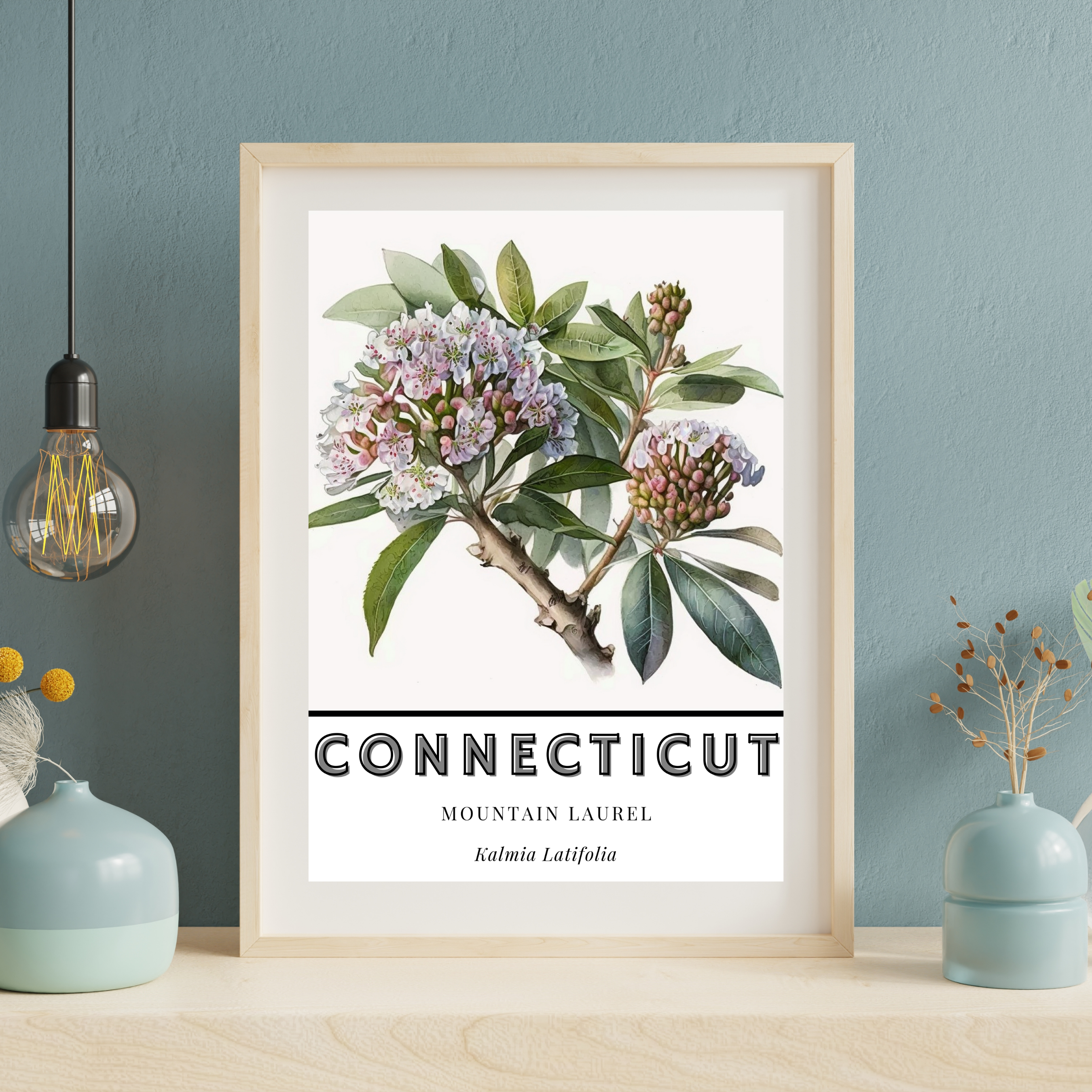 Connecticut State Flower Poster - Mountain Laurel Print