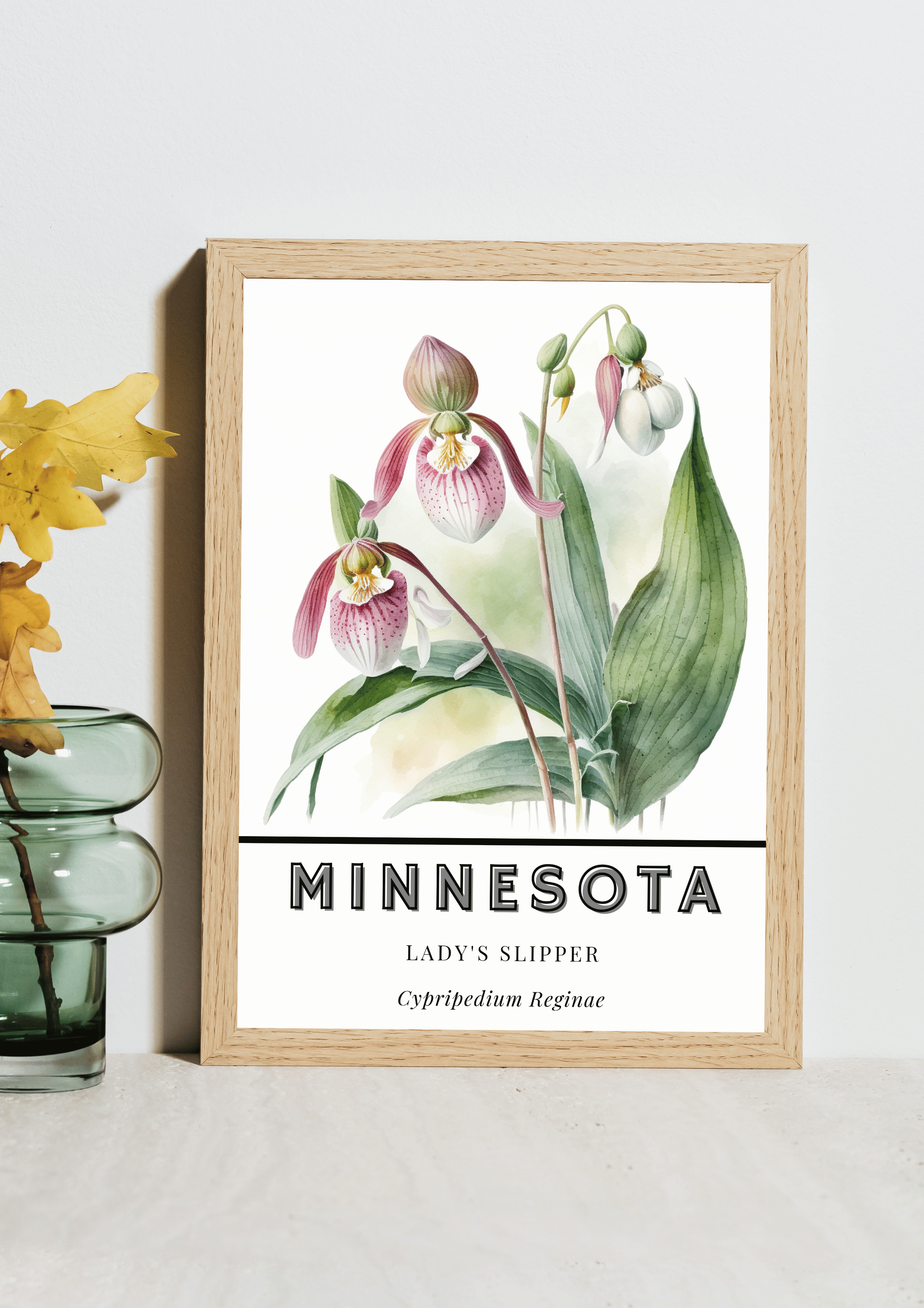 Minnesota State Flower Poster - Lady's Slipper Print