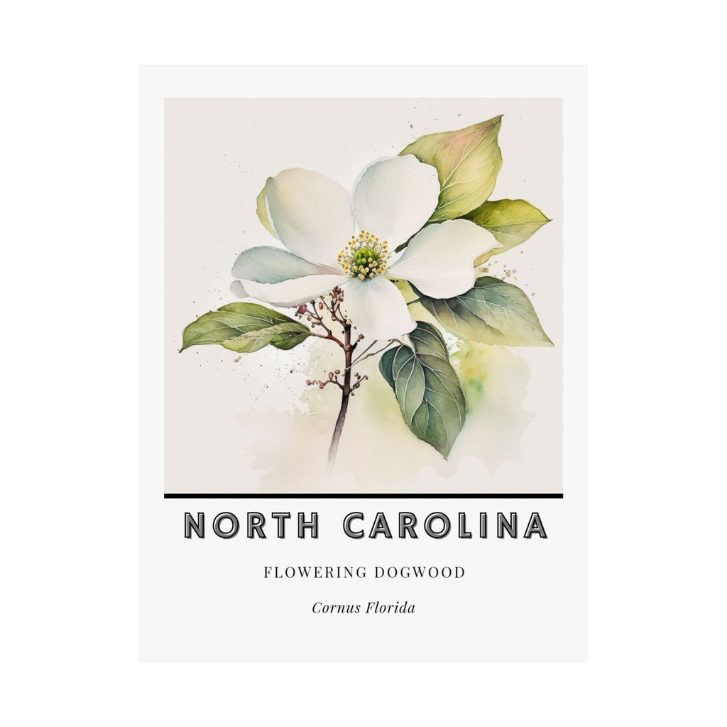 North Carolina State Flower Poster - Dogwood Print